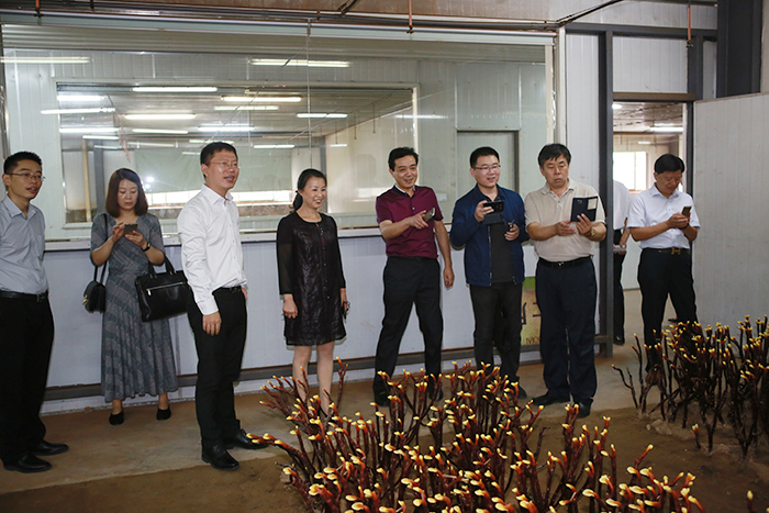 專(zhuān)題報(bào)道