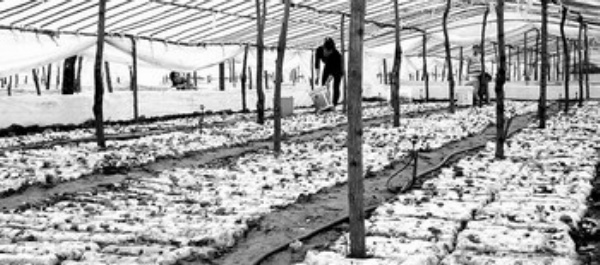 圖片關(guān)鍵詞 圖片關(guān)鍵詞