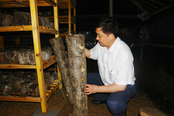 圖片關鍵詞 圖片關鍵詞