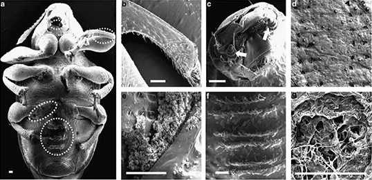 圖片關鍵詞 圖片關鍵詞