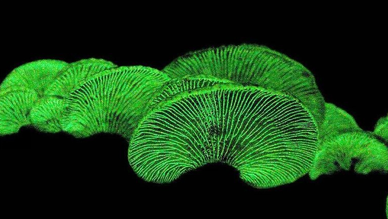 圖片關(guān)鍵詞 圖片關(guān)鍵詞