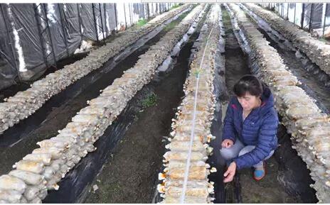 圖片關鍵詞 圖片關鍵詞