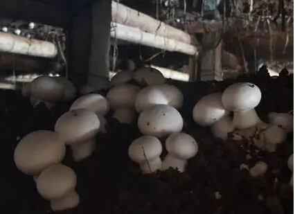 圖片關鍵詞 圖片關鍵詞