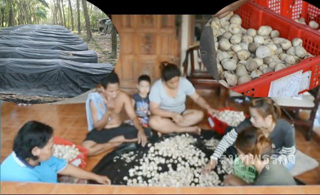 圖片關(guān)鍵詞 圖片關(guān)鍵詞