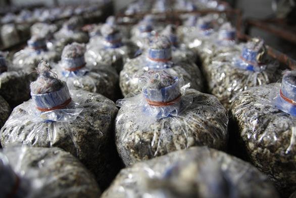 圖片關鍵詞 圖片關鍵詞