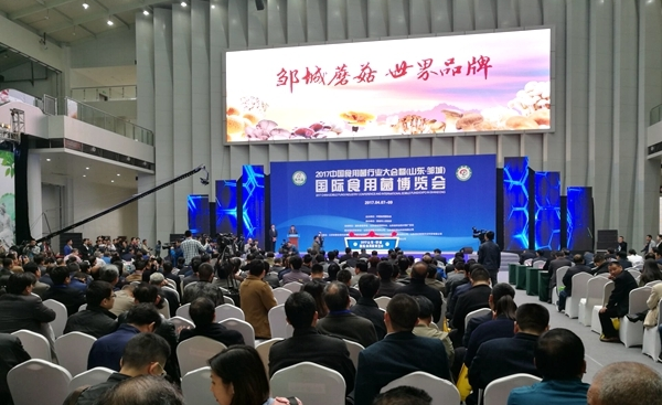 點(diǎn)擊打開(kāi)原圖 QQ截圖20170410090014