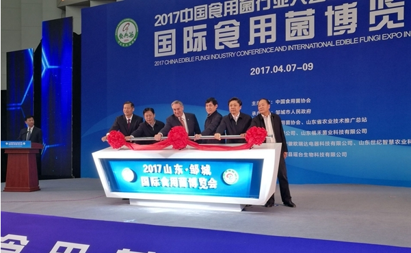 點(diǎn)擊打開(kāi)原圖 QQ截圖20170410085957