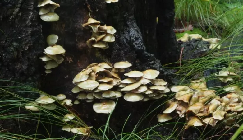 圖片關(guān)鍵詞 圖片關(guān)鍵詞