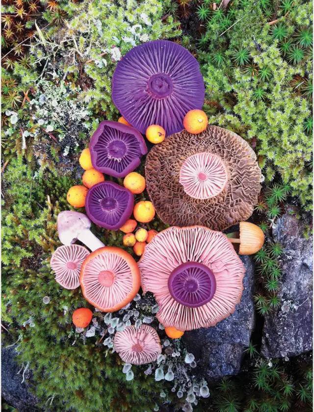 圖片關鍵詞 圖片關鍵詞