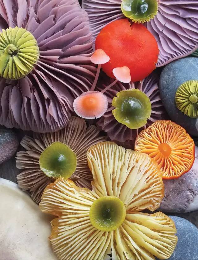 圖片關鍵詞 圖片關鍵詞