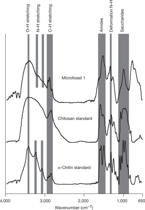 圖片關鍵詞 圖片關鍵詞