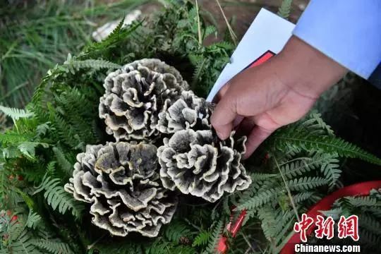 圖片關鍵詞 圖片關鍵詞