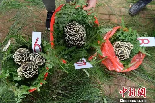 圖片關鍵詞 圖片關鍵詞