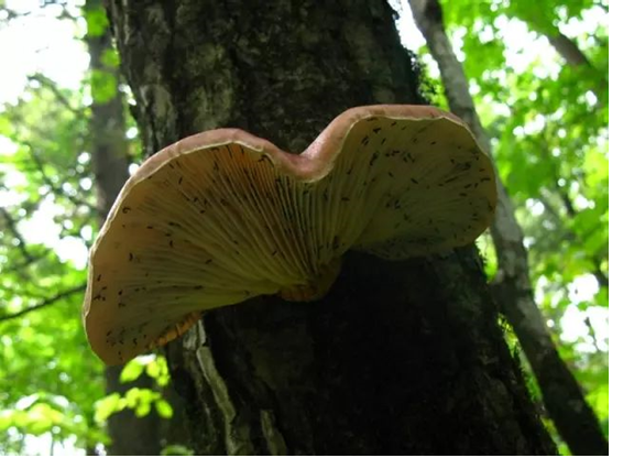 圖片關鍵詞 圖片關鍵詞