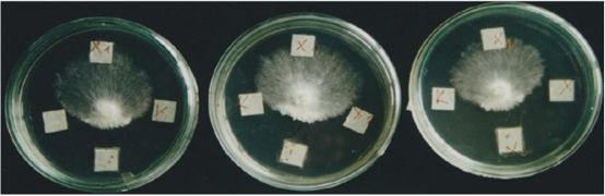 圖片關鍵詞 圖片關鍵詞