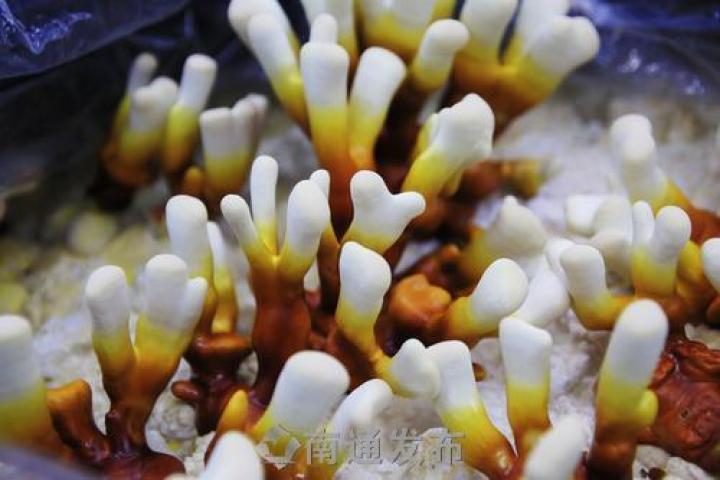 圖片關鍵詞 圖片關鍵詞