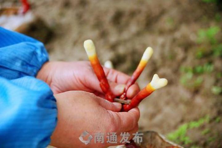 圖片關鍵詞 圖片關鍵詞