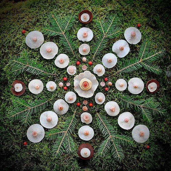 圖片關鍵詞 http://img2.jiemian.com/jiemian/original/20171123/151141524436967300_a580xH.jpg