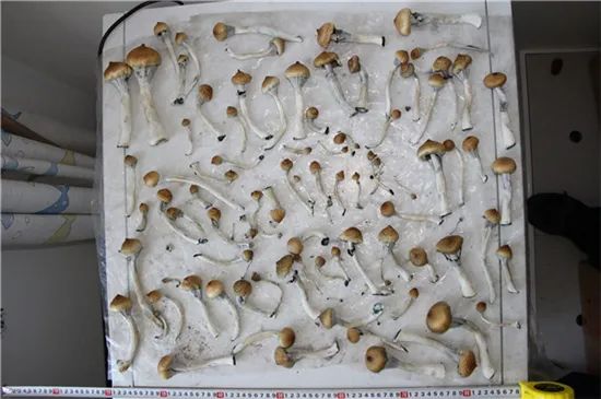 圖片關(guān)鍵詞 https://mmbiz.qpic.cn/mmbiz_jpg/OnRbAd1HL47qC0uibwrNsuw7LGnZfZLuynoSwGV1xevL9ITarDXKs72EIgWp4dfB9oMq50KbBXj84pYRCtwkV4w/640?wx_fmt=jpeg