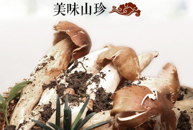 圖片關(guān)鍵詞 https://mmbiz.qpic.cn/mmbiz_png/5Ak7sSYyYPJhrmNyQzDMJXmbjJjcjz2qq6x8Z7KkKVox6z966HIGH0cs1wEJH6SawuUZLOLmicZgbJdKPsdDpvg/640?wx_fmt=png