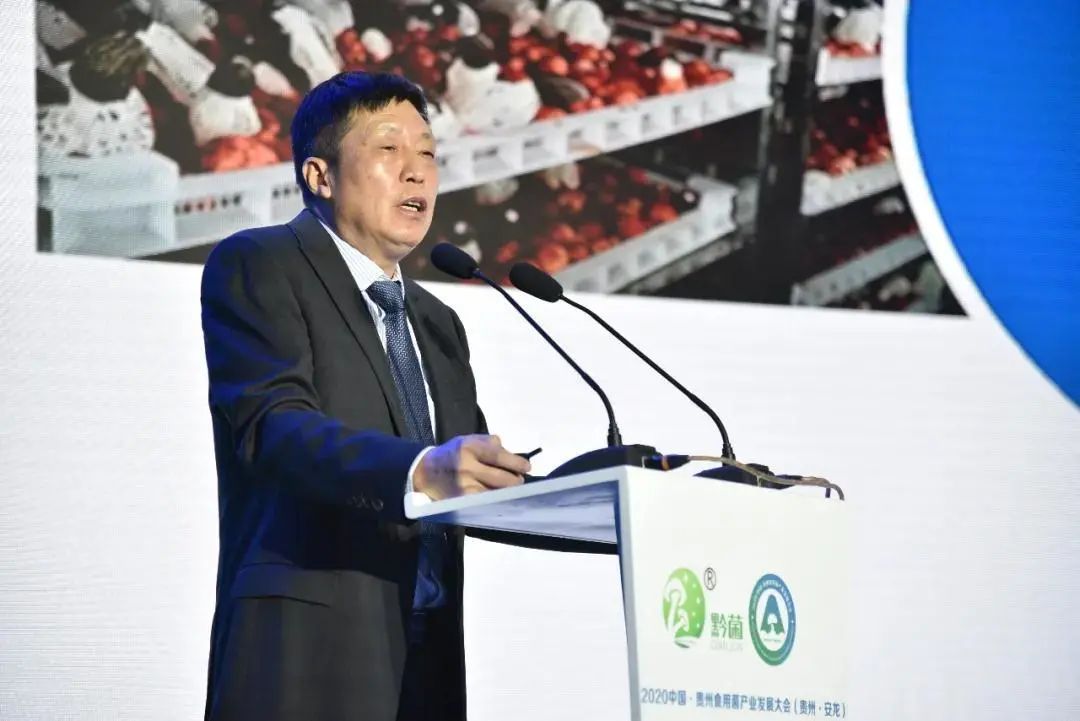 圖片關鍵詞 https://mmbiz.qpic.cn/mmbiz_jpg/tViaTicjwibVZmgEXXCALToc7mAB2rFo1LnLgNnOQ5SIZqVaUQRKmnRdiazm6WKSryNstORu1qic6AHeS5icBo342Dmw/640?wx_fmt=jpeg