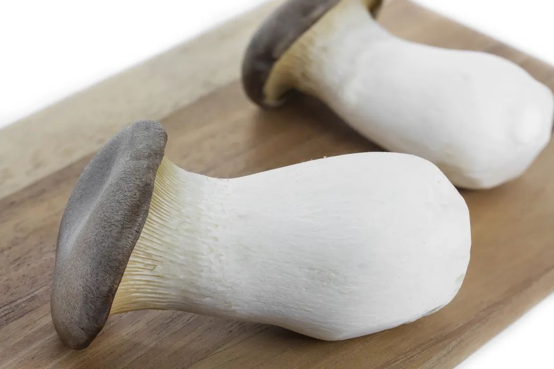 圖片關鍵詞 圖片