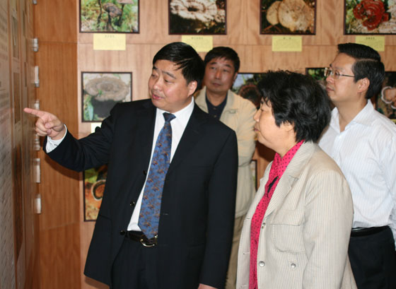 圖片關鍵詞 圖片關鍵詞