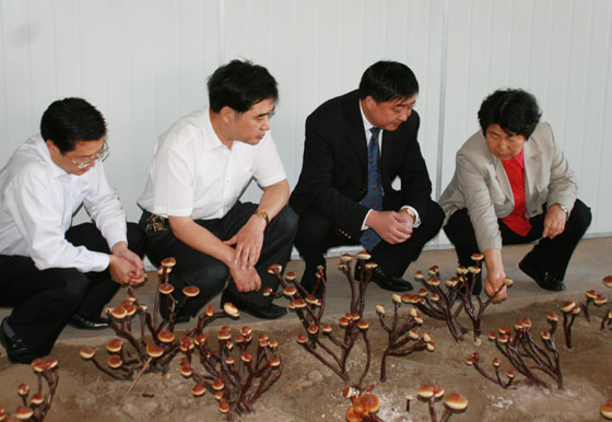 圖片關鍵詞 圖片關鍵詞