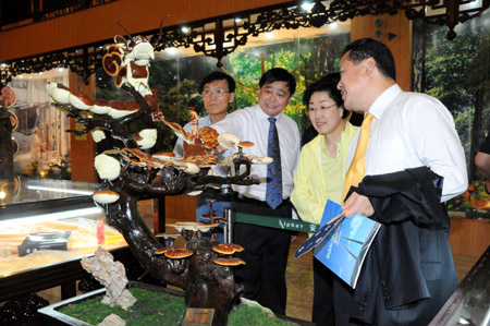 圖片關鍵詞 圖片關鍵詞