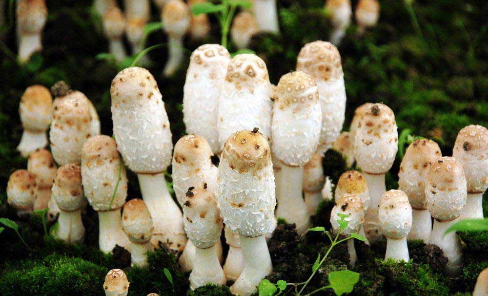 圖片關鍵詞 圖片關鍵詞