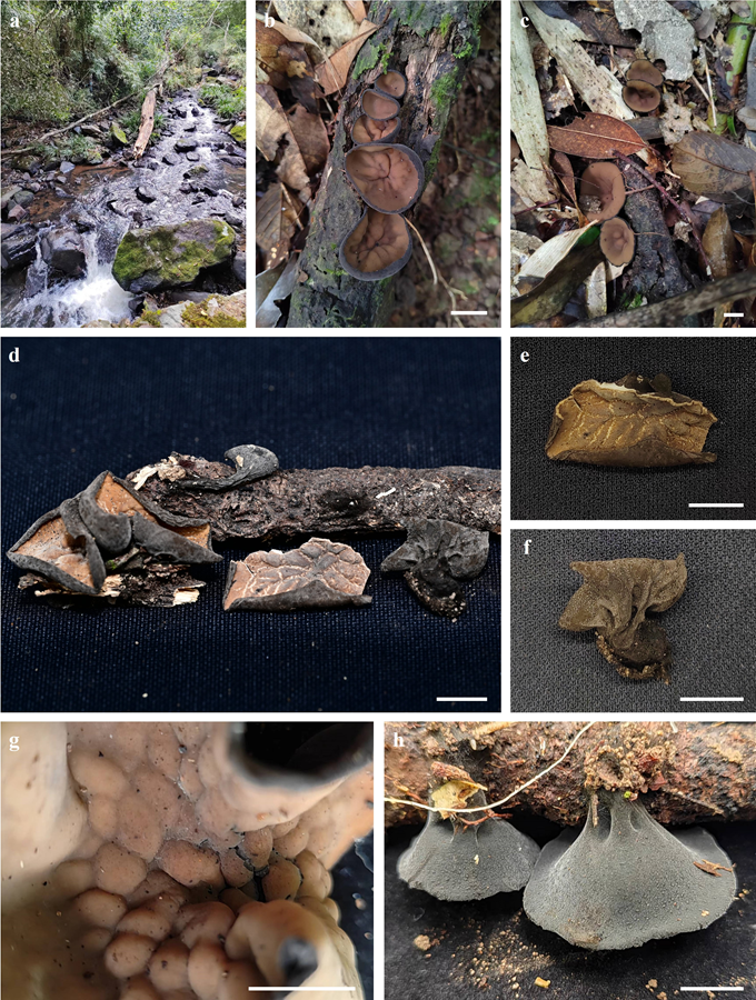 圖片關鍵詞 圖片關鍵詞