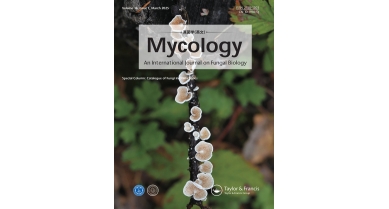 行業(yè)動態(tài)