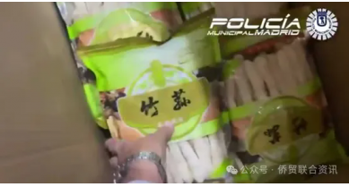 行業(yè)動態(tài)