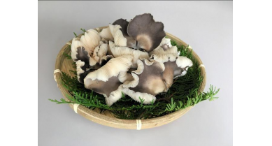 行業(yè)動(dòng)態(tài)