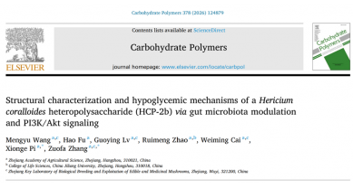 行業(yè)動態(tài)
